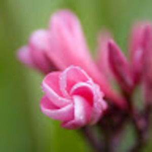 Meet your Posher, Yolanda